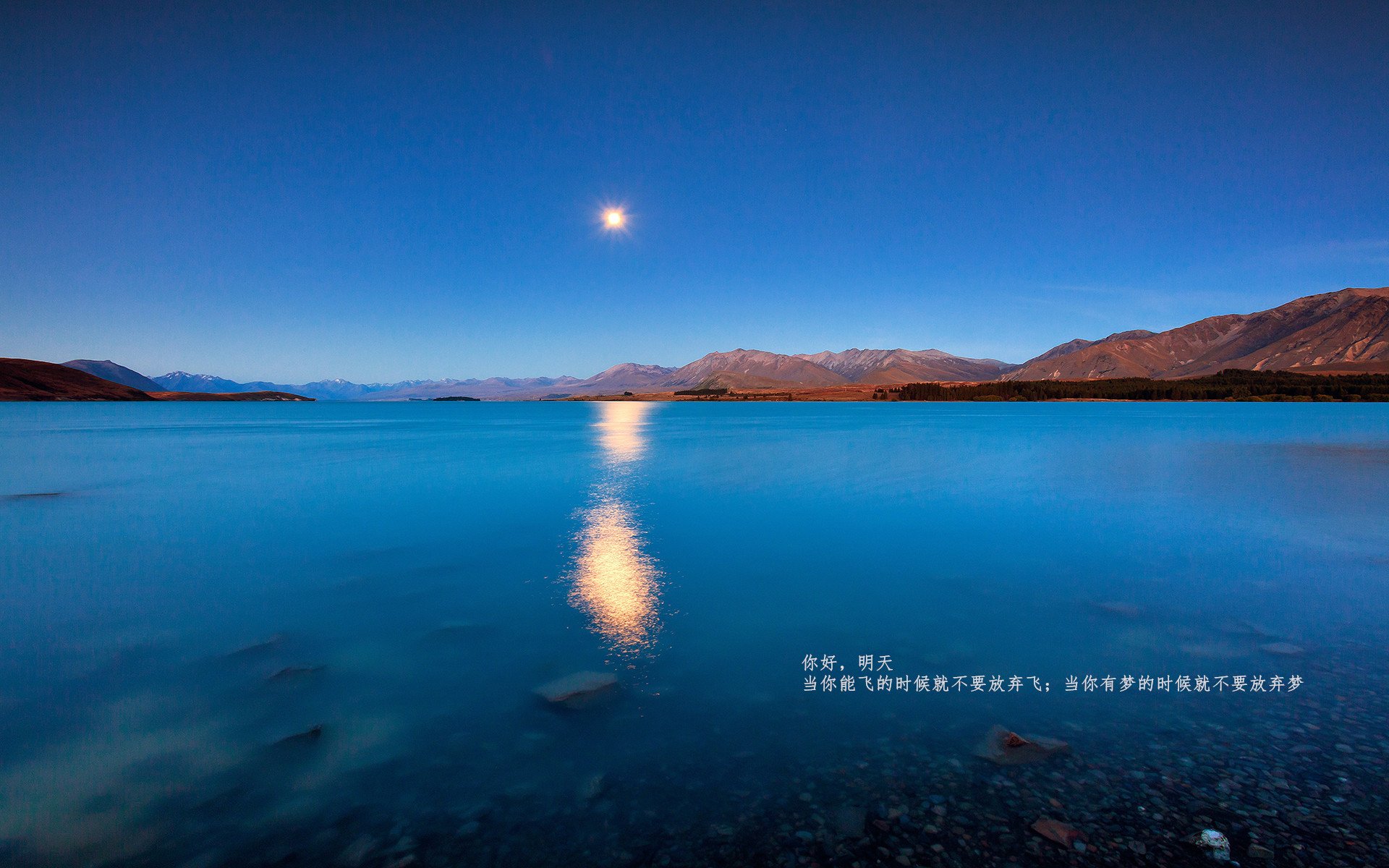 寂静战场上的轰鸣，卡瓦哈尔用铁闸之力主宰新西兰与秘鲁的胜负天平