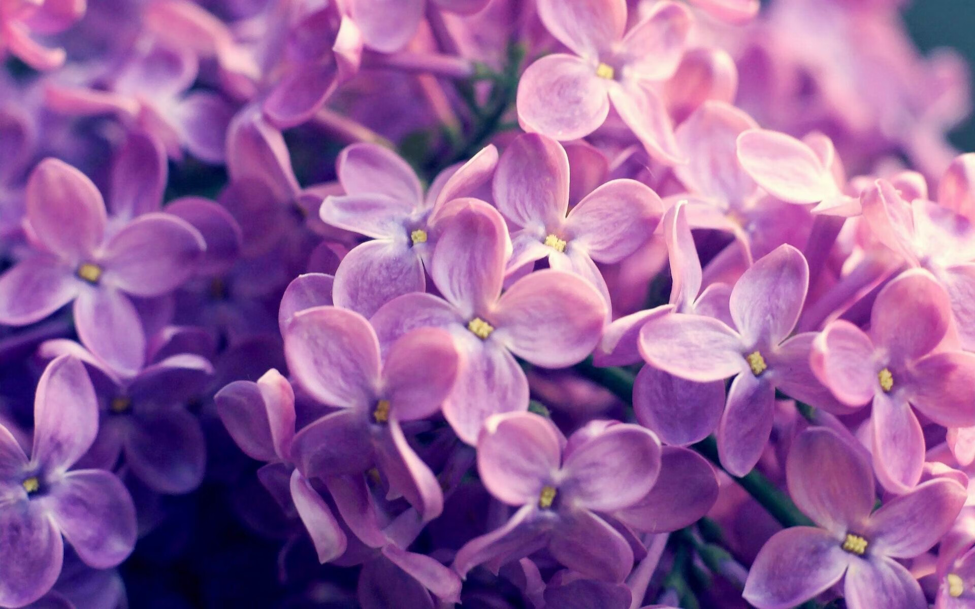 当风暴遇到磐石,卡拉斯科爆发,希腊强行终结西班牙