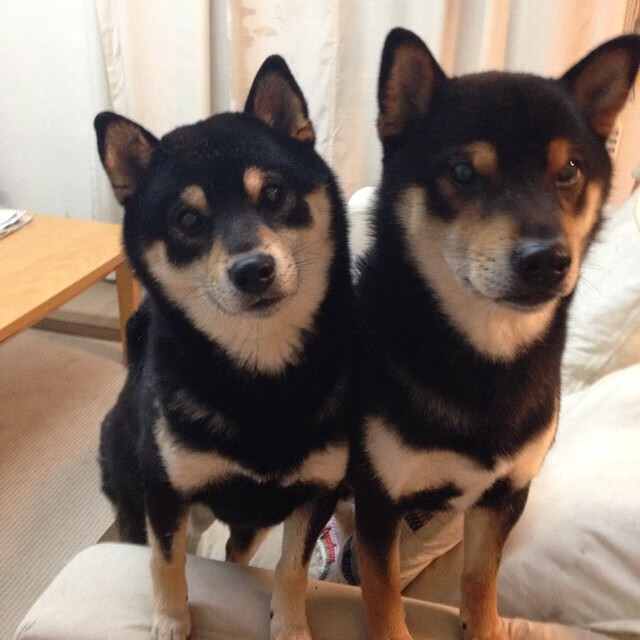 球场上的终结者，当喀麦隆提前终结悬念，若日尼奥关键战从不手软