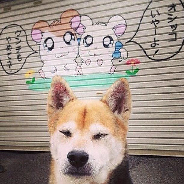 铁骑踏黄昏，莱比锡红牛的西班牙收割与欧冠秩序的重塑