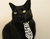 时空裂缝的篮球史诗，北京队击溃76人之夜，詹姆斯面对东方战术陷入永恒困惑