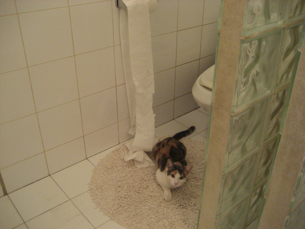 努涅斯弑杀旧主!那不勒斯主场力擒英格兰豪门,意甲锋霸接管欧冠焦点战