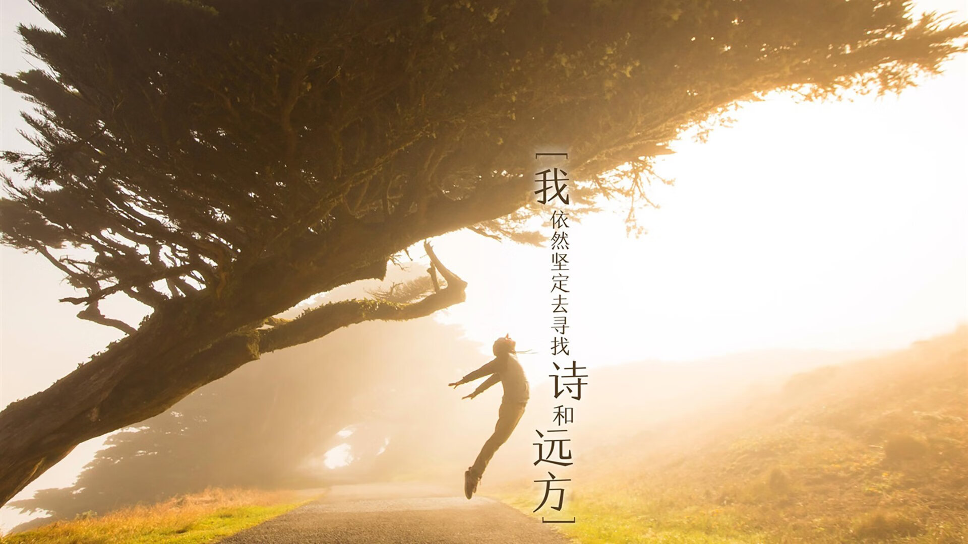 东瀛武士的绿茵宣言，意甲焦点战背后，日本足球如何正面击溃美国模式？