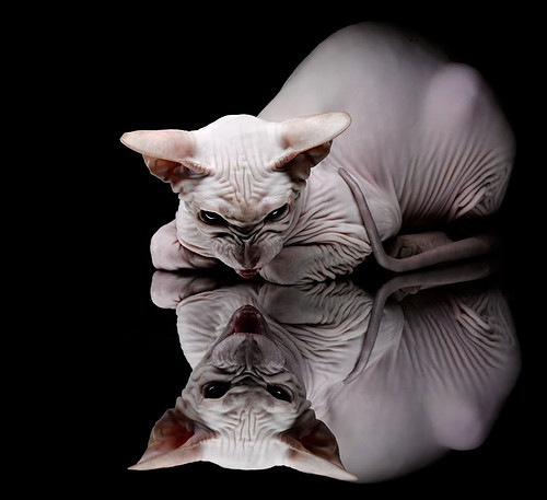 遥远共鸣，拉梅洛国家德比灵光与步行者铁血压制的平行叙事