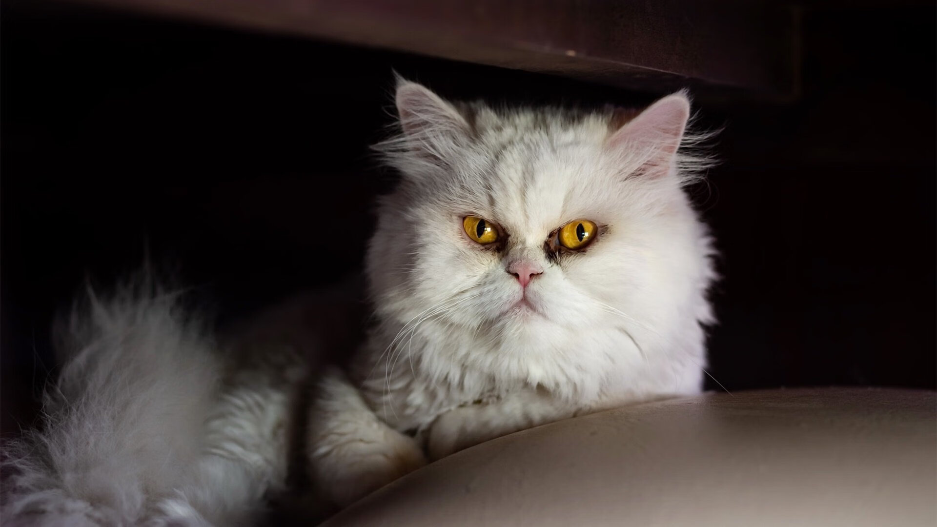 战场与绿茵场,当火力压制演变为比赛接管