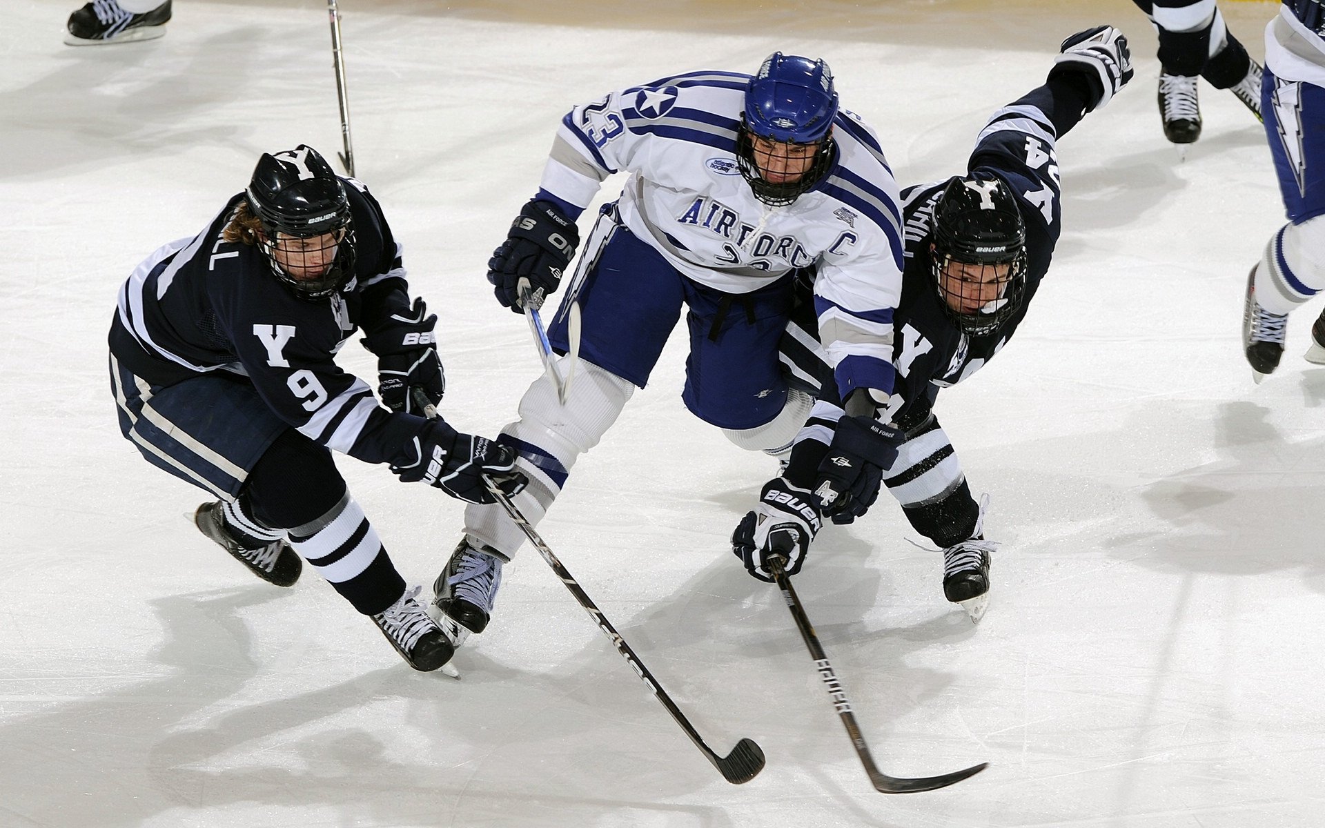 蓝红交响曲，在多伦多寒夜，塔图姆写下他的北境诗篇