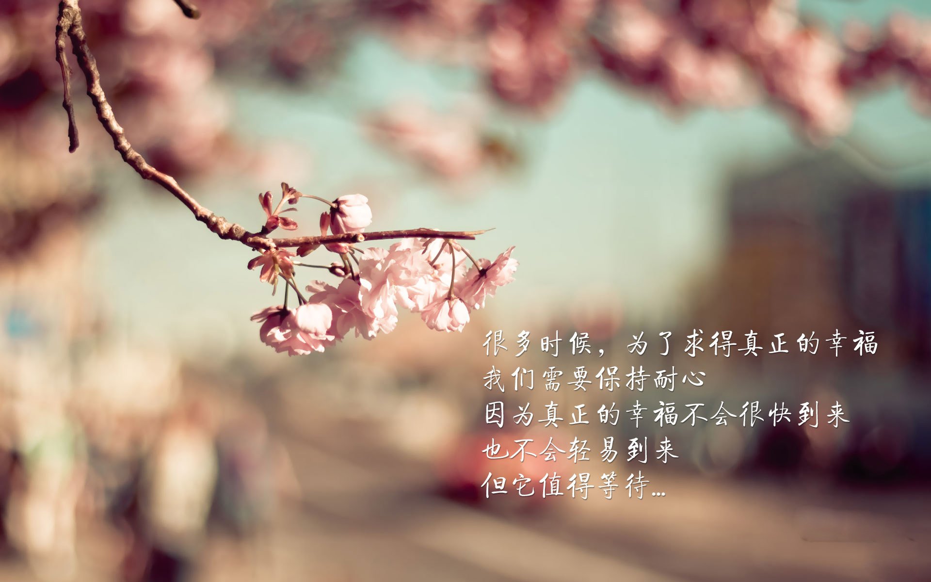 哈兰德沉默,B费点亮非洲雄鹰,尼日利亚替补奇兵导演2026世界杯最冷门的横扫